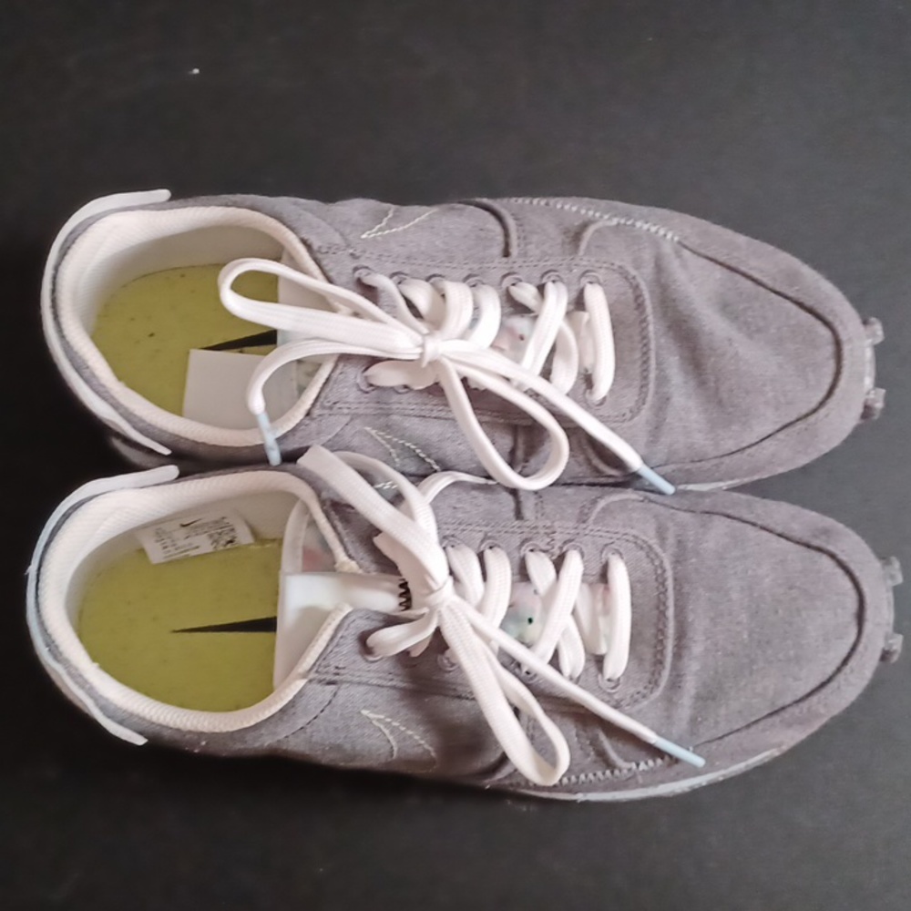 Nike Daybreak Type Recycled Canvas